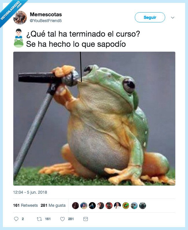 sapo,hacer,más