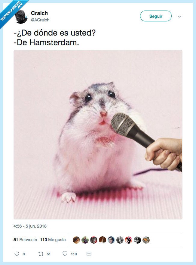 raton,hamsterdam,amsterdam,sí me he reído sola culete,salu2tk