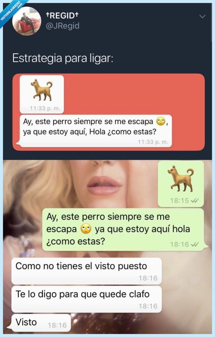 jugada,visto,perro,ligar