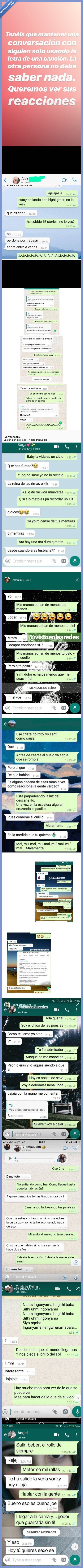 whatsapp,trollear,usuarios