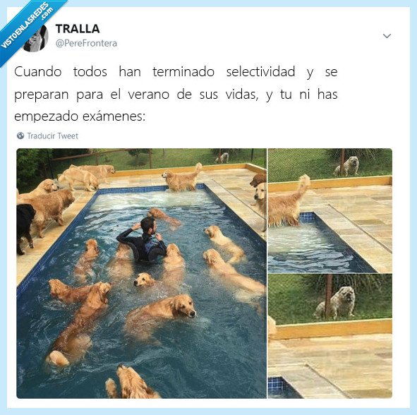 selectividad,universitarios,exámenes,postureo