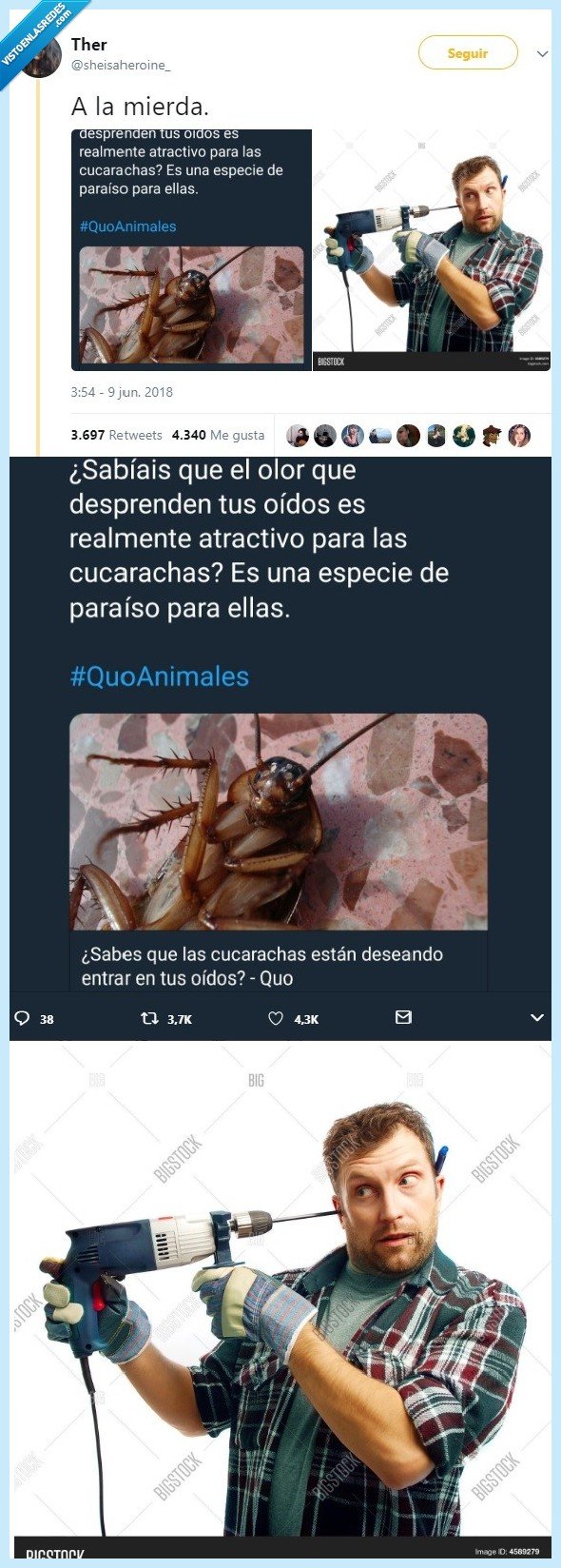 twitter,cucaracha,asco