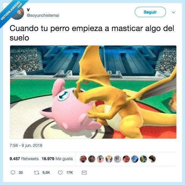 sacar,perro,masticar,suelo