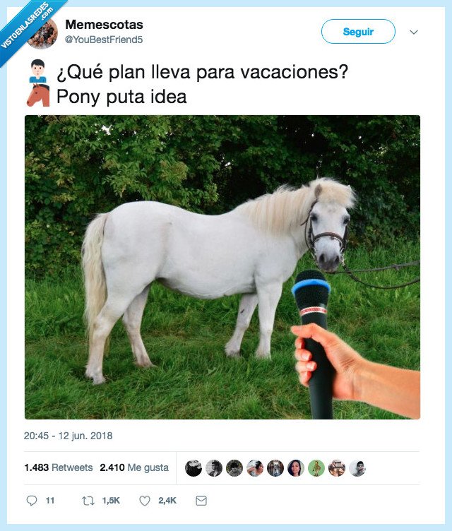 pony. saber. vacaciones