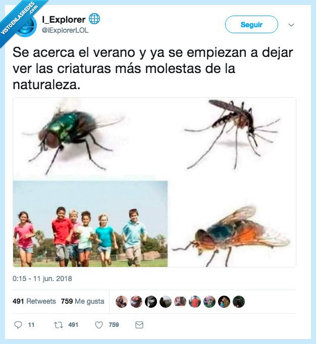 mosca,mosquito,niños