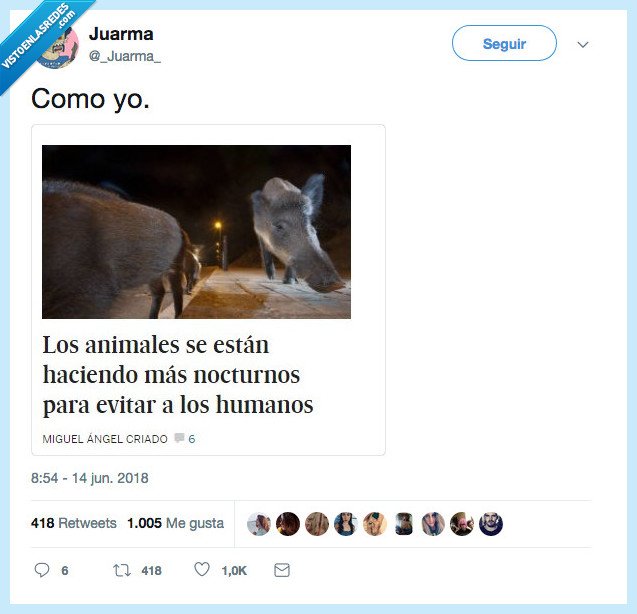 looool,arroba,animal