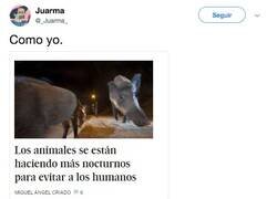 Enlace a Me irl, por @_0verdxse