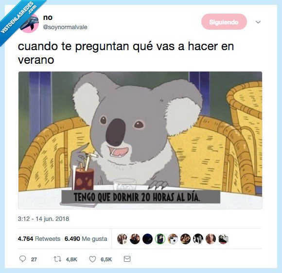 preguntar,hacer,verano