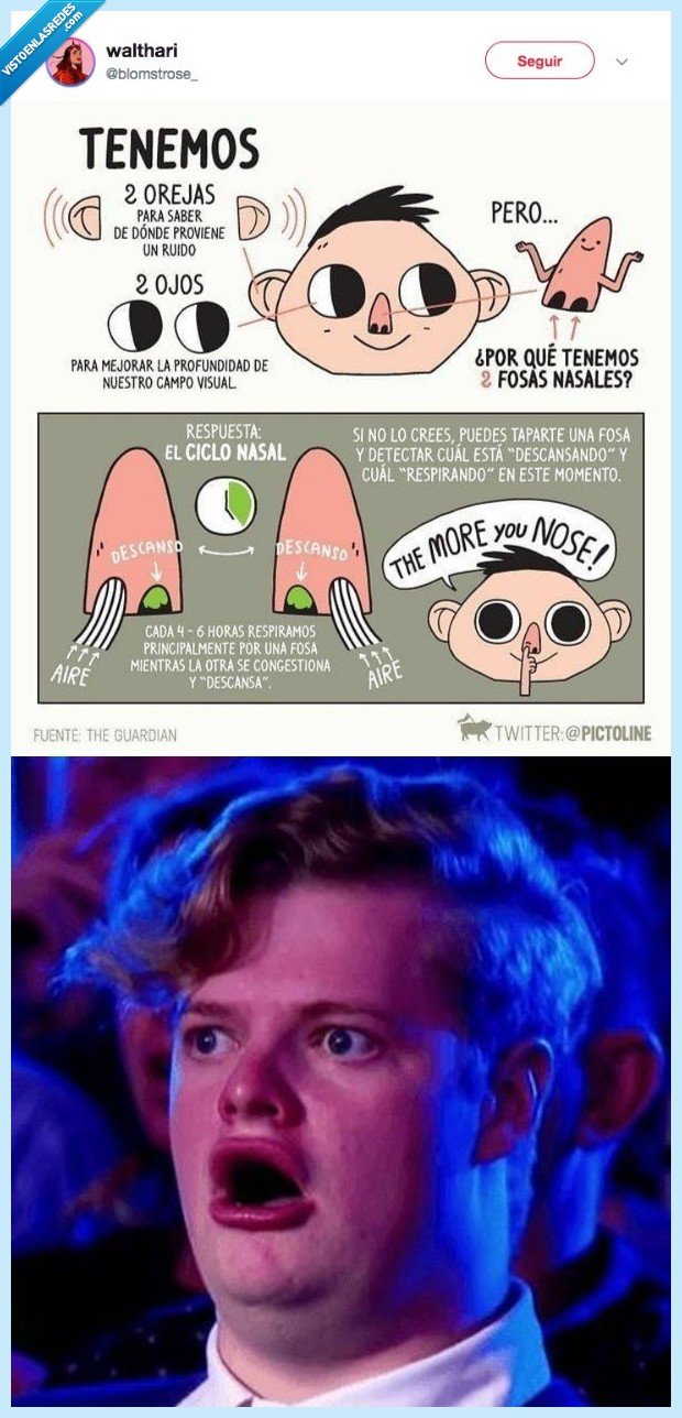 reventar,cabeza,fosa,nasal