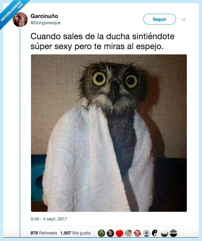 cuenta,darse,realidad