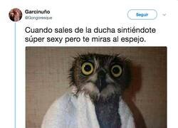 Enlace a Y te das cuenta de la realidad, por @Gongoresque