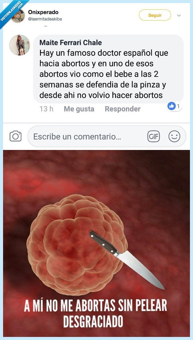 imaginar,yo,aborto,feto