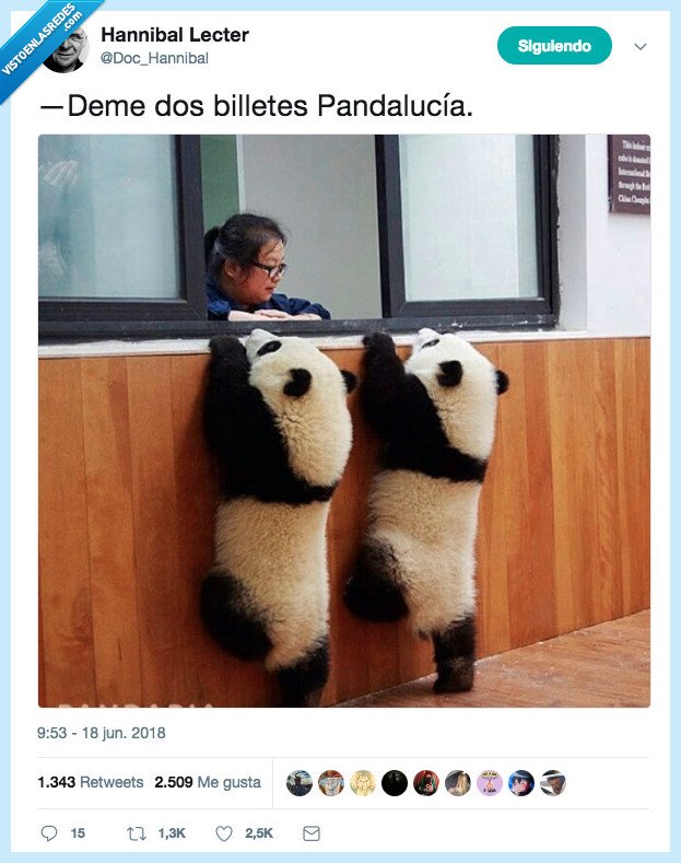 pandalucia que nos vamos,andalucia,je je no me he reío yo ni na,quiero un panda real,por favor culete un panda sí?