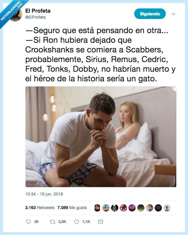 harry,potter,saber,esto,quedar