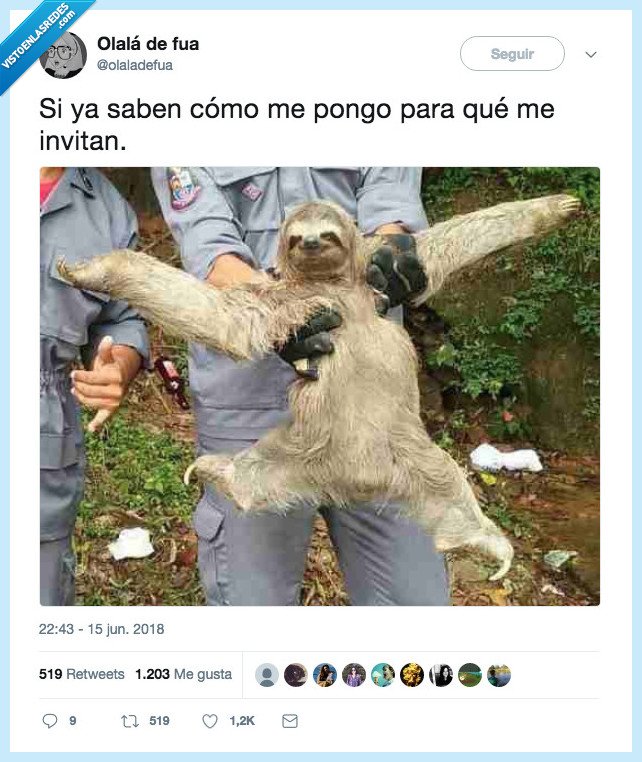 invitar,oso,nota mental