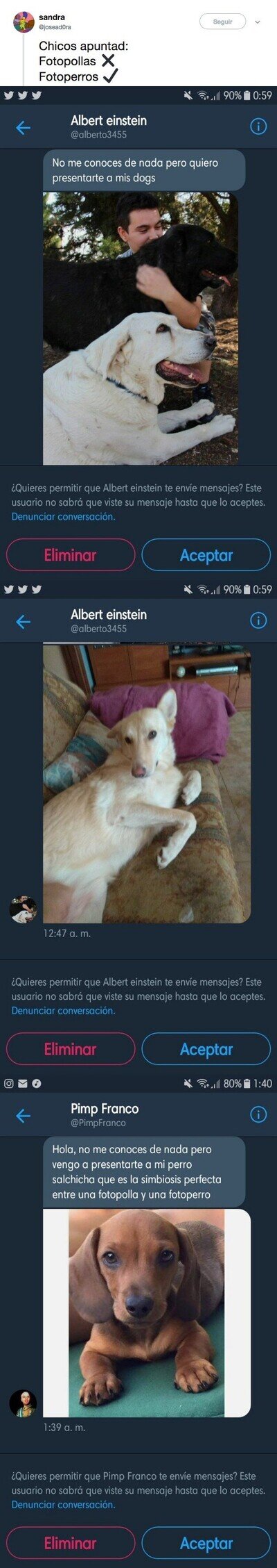 490216 - Las fotopichas ya no se llevan ahora se lleva la fotoperrete, por @josead0ra