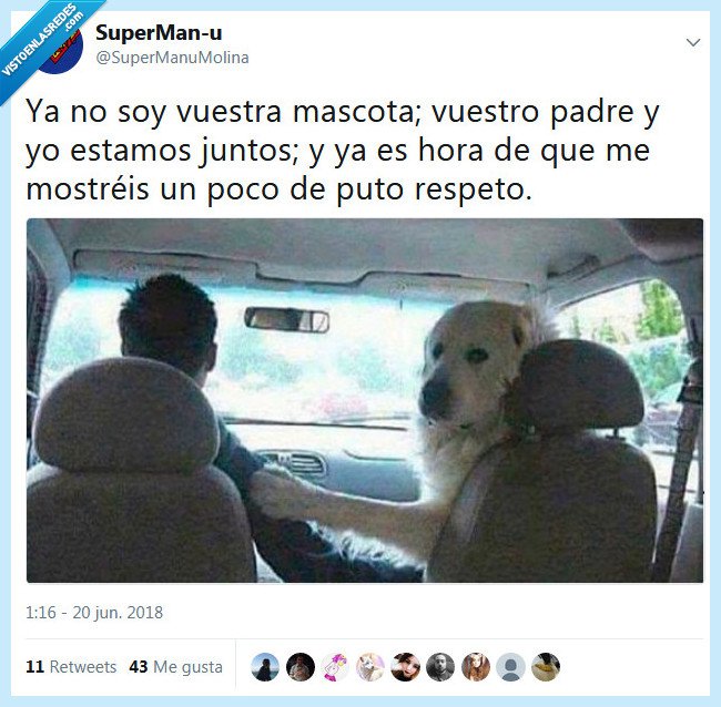 mascota,respeto,padre