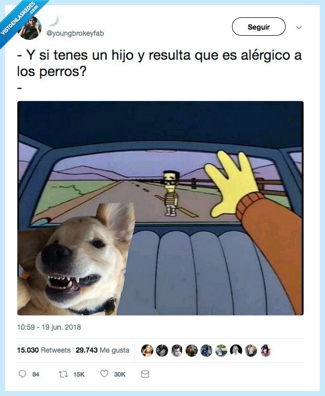 ni&ntilde;o,hijo,alergico