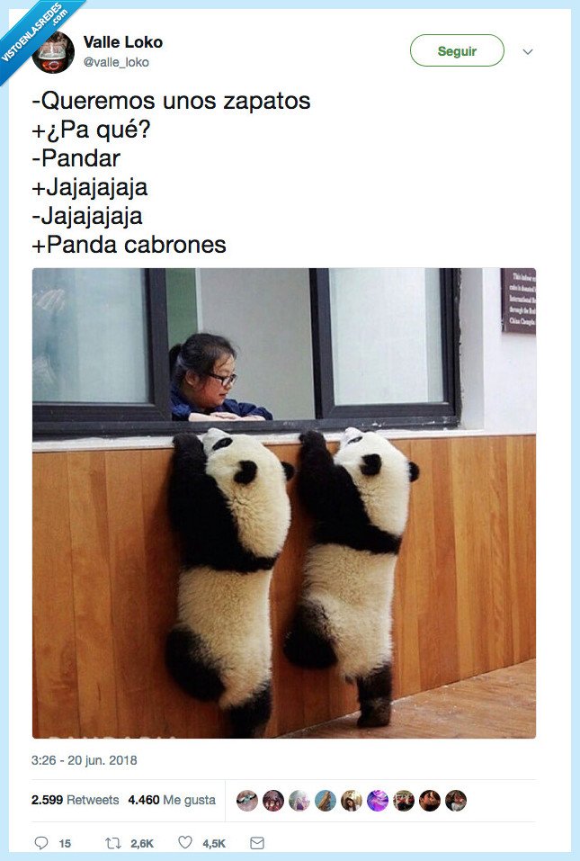 490318 - Vaya panda de pandas, por @valle_loko