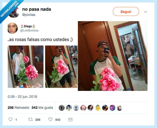 rosas,falsas
