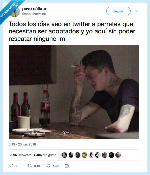 quiero un perro,los quiero todos,kim jon guau,por favor,lo necesito