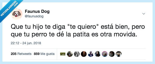 Perro,animales,mascotas,meme,twitter