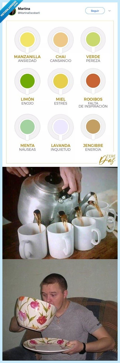 te,mundo,curarme