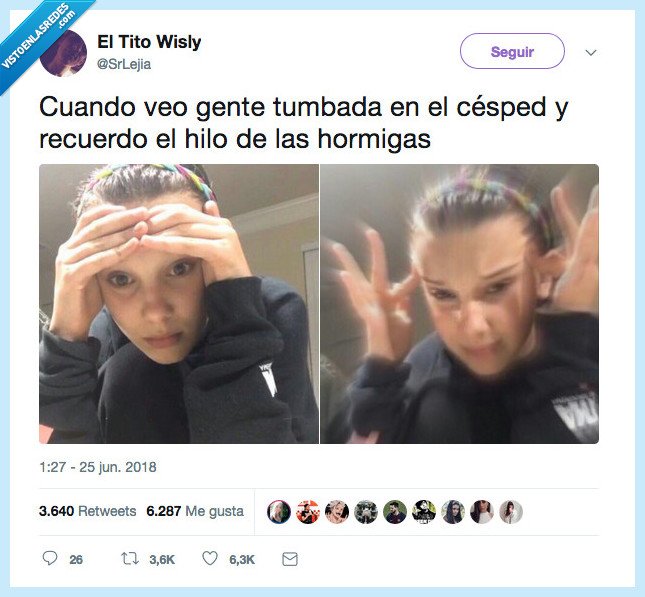 sentar,césped,vida,peligro