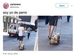 Enlace a Me as dog irl, por @flanchota