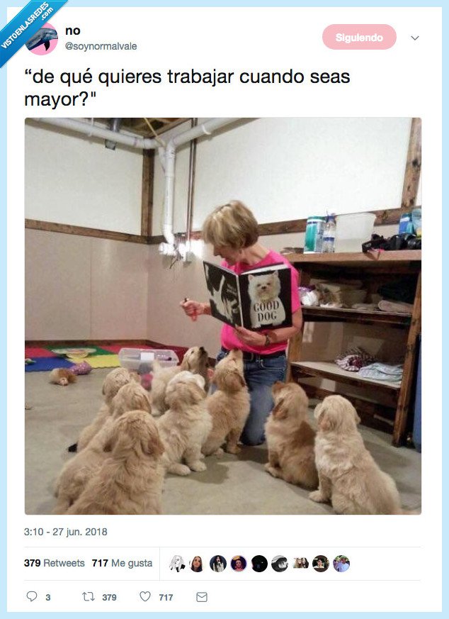 ojala,así todo el día,dios,quiero jugar con ellos