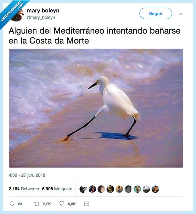 fresquita,costa da morte