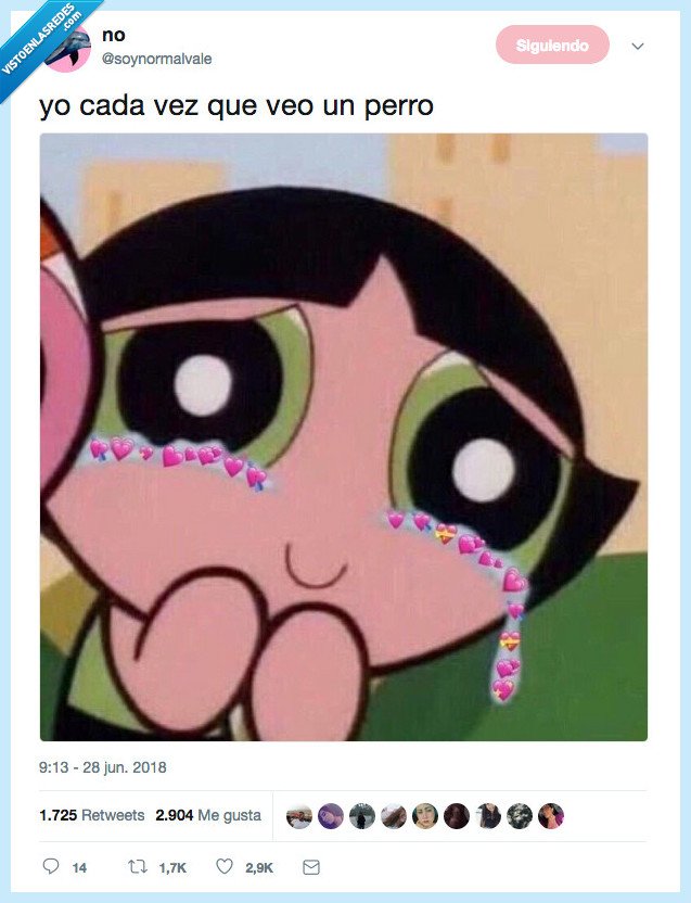 confeti,explotar,perro,holi soy yo culete