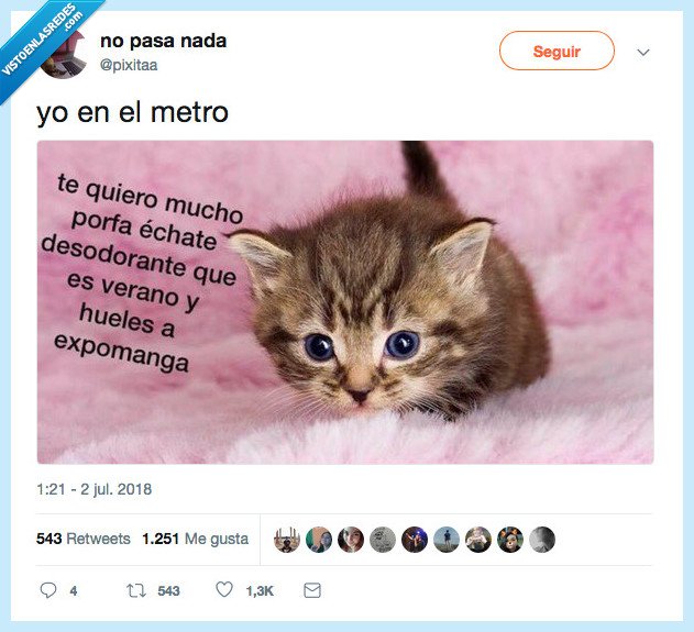 meme,d&iacute;selo,pestuqui