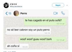 Enlace a Hablar con tu perro en Whatsapp, por @SoyJacobecos