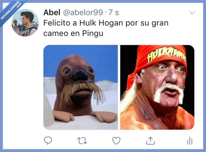 pingu,cameo,hulk hogan,noot noot