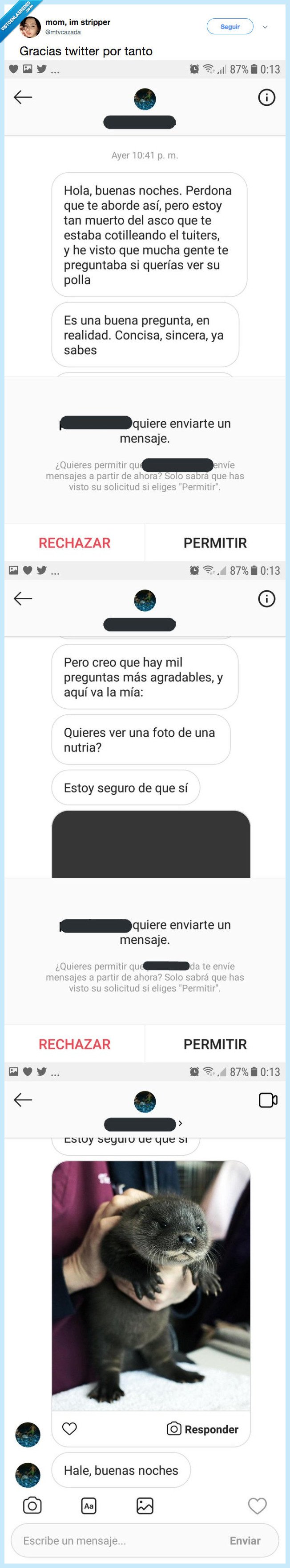 gente,educada,nutria,maravilla