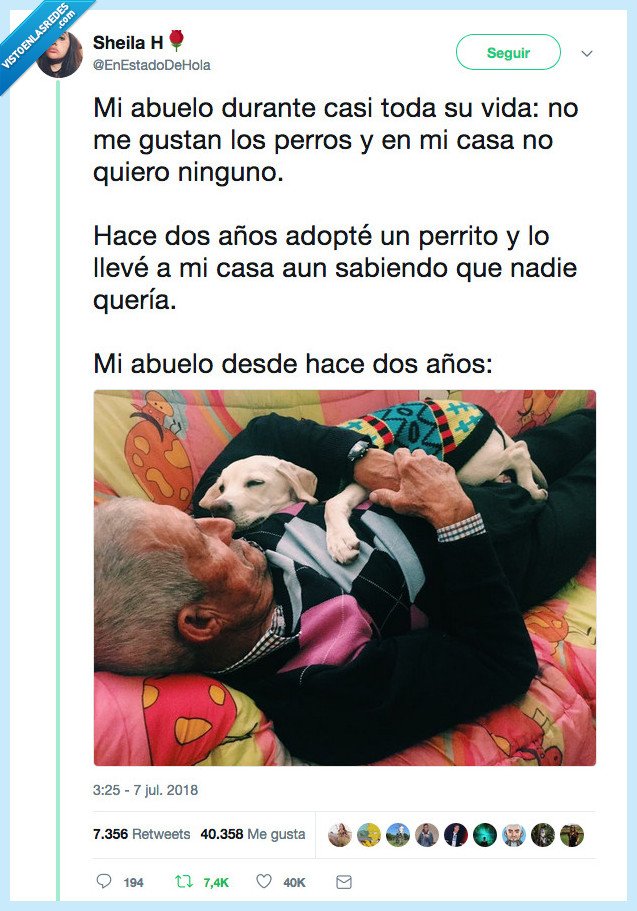 coraz&oacute;n,blando,ay,abuelo,perro