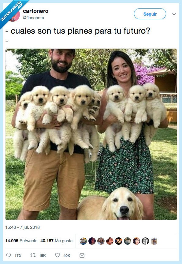 perro,planes,futuro,sueño