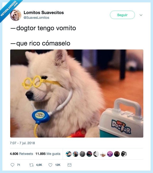 dogtor,vomito,que rico,comáselo