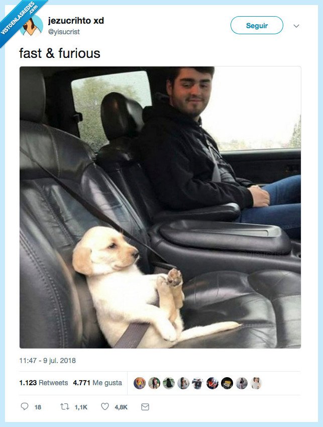 fast,furious,perrete monisimer,ay que muero