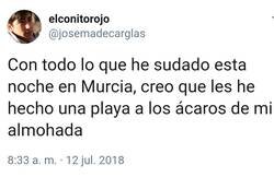 Enlace a Ácaros d'Or, ciudad de vacaciones, por @josemadecarglas