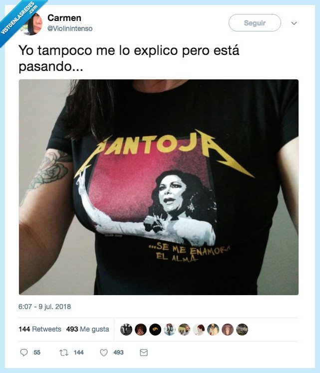 pantoja,metallica,heavy