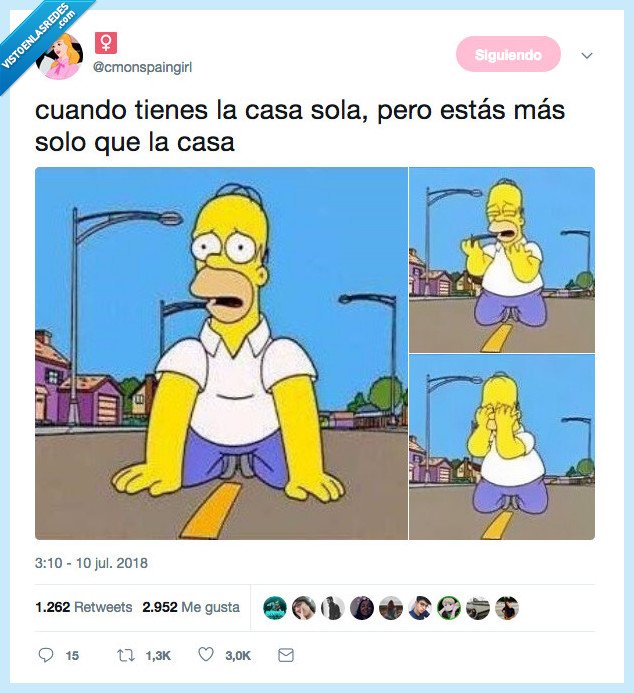 homer,casa,sola