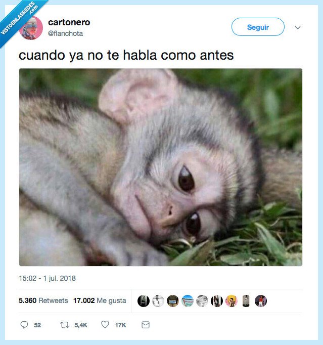 mono,monete,me muero con el mono porque es super mono,tristeza