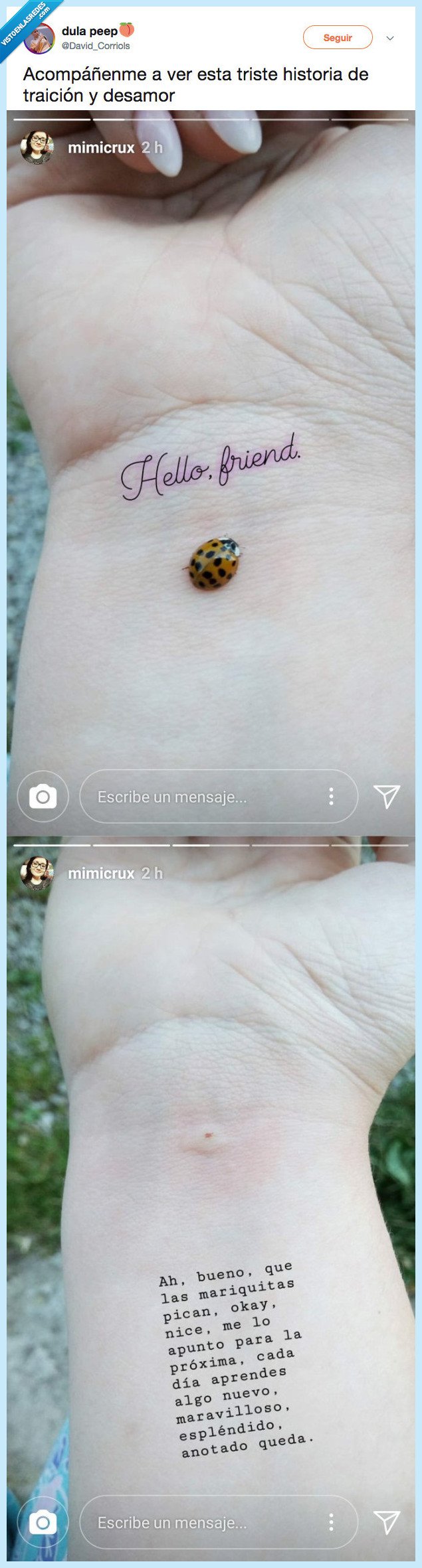 mariquita,tacompañar,triste,traición