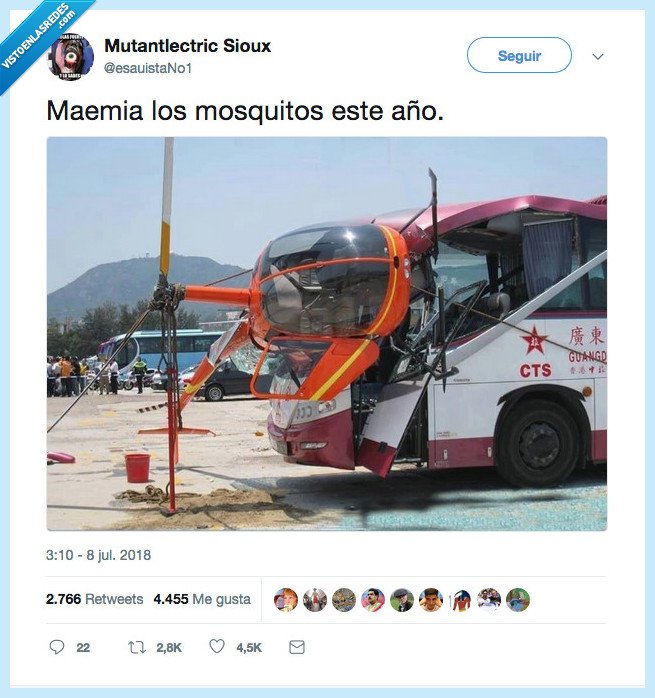 año,grandesmosquitos