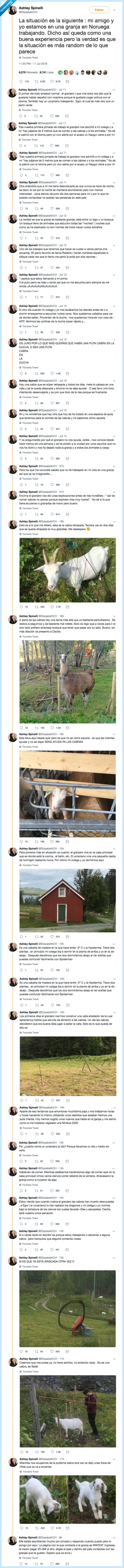 granja,noruega,cabras,cabras locas