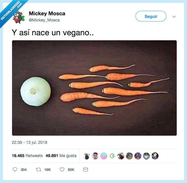 nabo,seta,siento el titulo pero no estoy inspirada