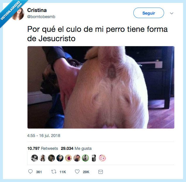 orto-doxo,pido disculpas desde aquí por el título,sé que merezco la muerte lenta,sorry