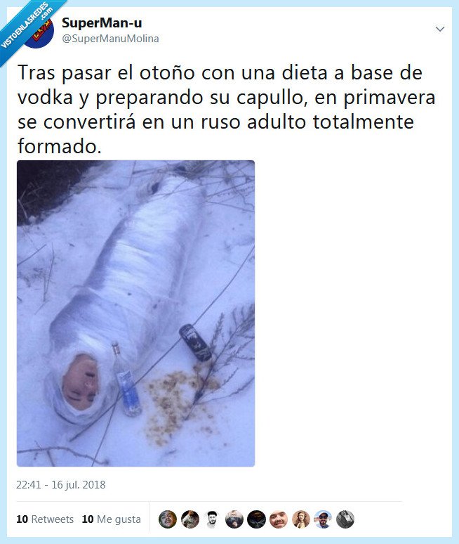 ruso,capullo,primavera